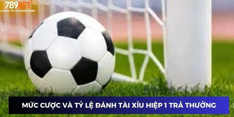 Mức cược và tỷ lệ đánh tài xỉu hiệp 1 trả thưởng 