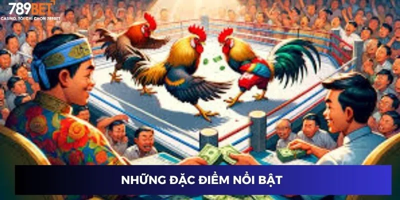 Những đặc điểm nổi bật 